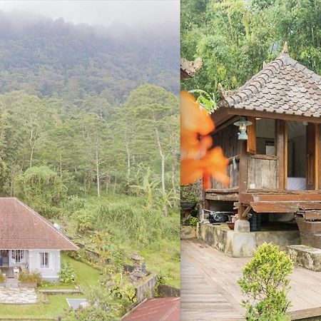 Villa Four Monkeys House Bedugul  Exterior foto