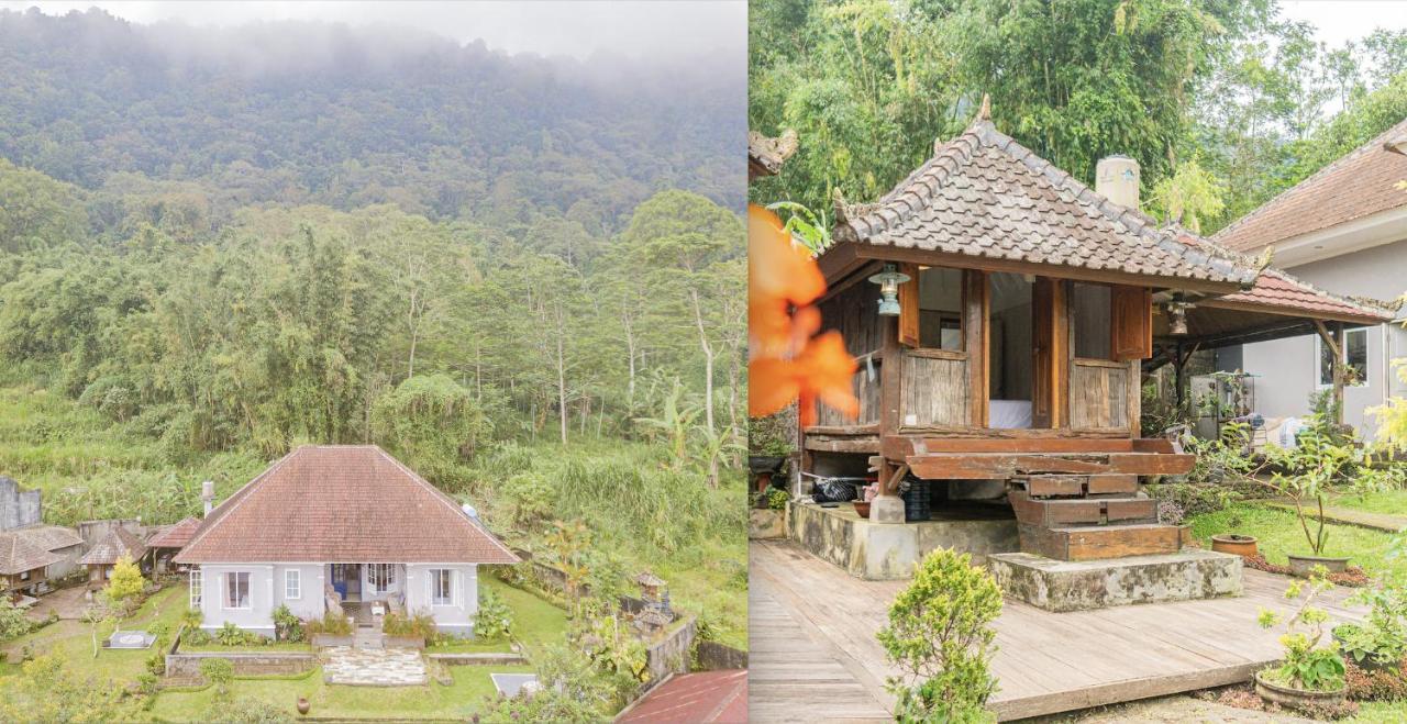 Villa Four Monkeys House Bedugul  Exterior foto