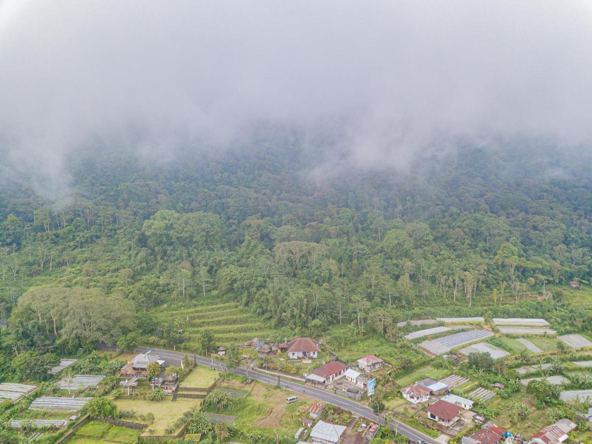Villa Four Monkeys House Bedugul  Exterior foto
